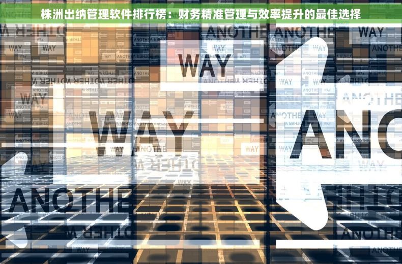 株洲出纳管理软件排行榜：财务精准管理与效率提升的最佳选择
