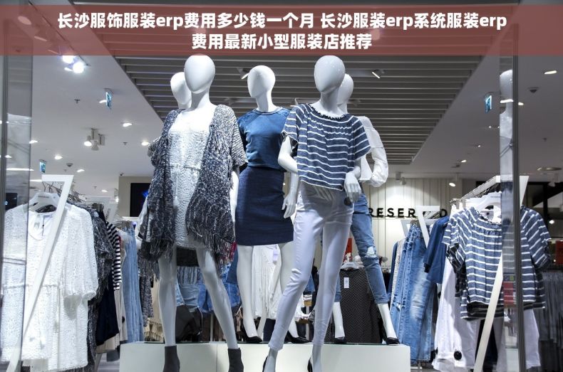 长沙服饰服装erp费用多少钱一个月 长沙服装erp系统服装erp费用最新小型服装店推荐