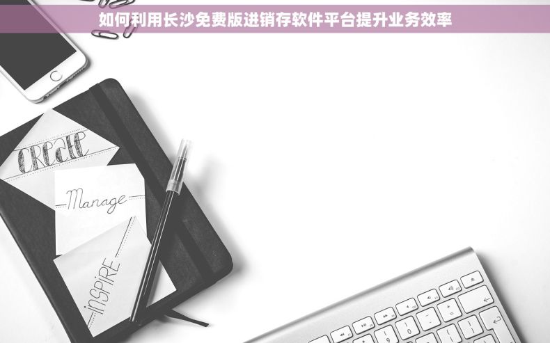 如何利用长沙免费版进销存软件平台提升业务效率