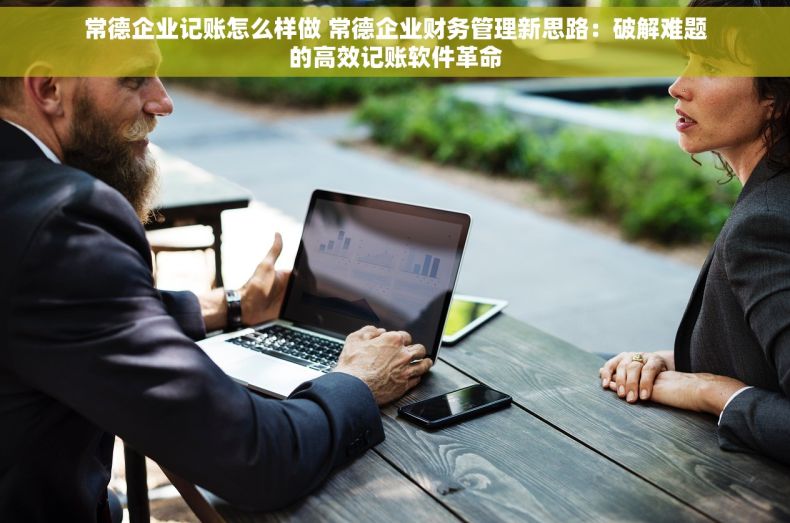 常德企业记账怎么样做 常德企业财务管理新思路：破解难题的高效记账软件革命