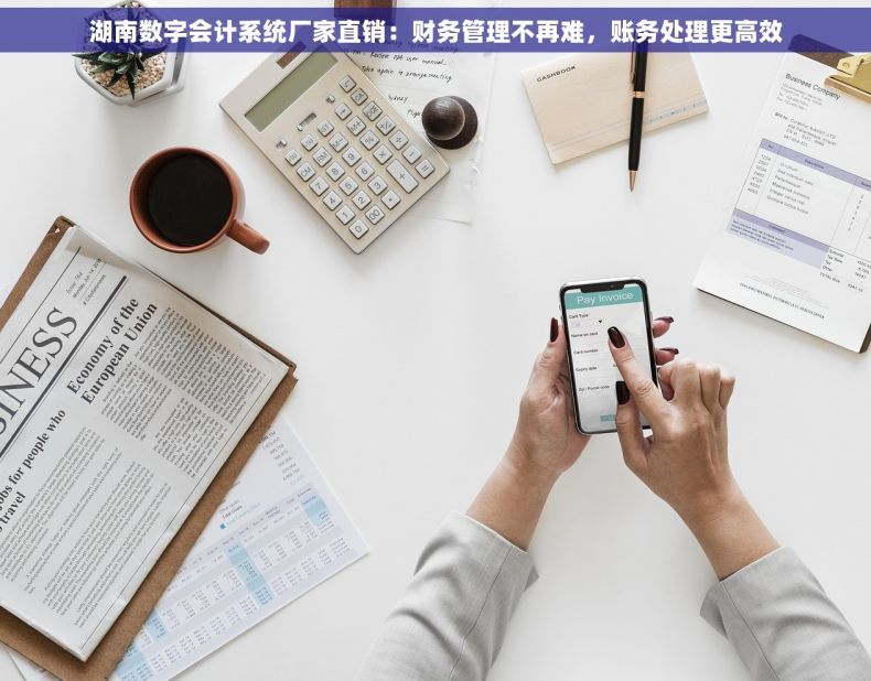 湖南数字会计系统厂家直销：财务管理不再难，账务处理更高效