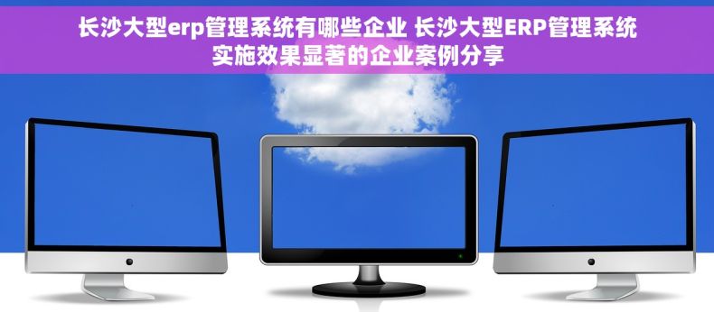 长沙大型erp管理系统有哪些企业 长沙大型ERP管理系统实施效果显著的企业案例分享