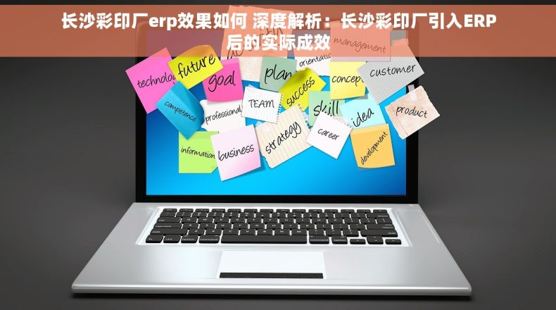 长沙彩印厂erp效果如何 深度解析：长沙彩印厂引入ERP后的实际成效