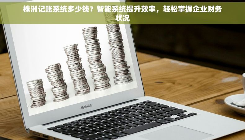 株洲记账系统多少钱？智能系统提升效率，轻松掌握企业财务状况