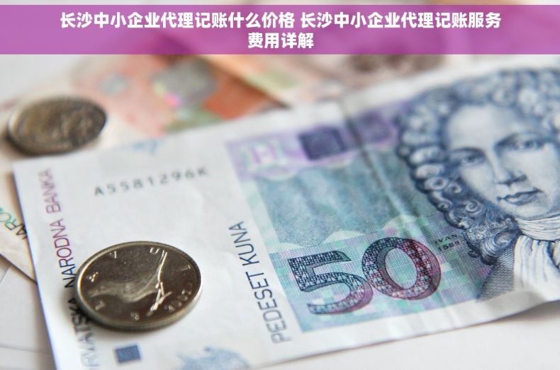 长沙中小企业代理记账什么价格 长沙中小企业代理记账服务费用详解