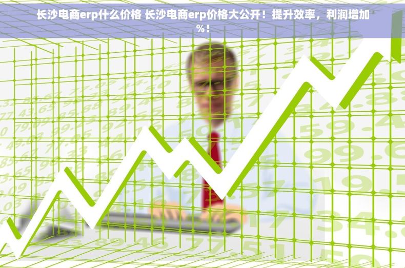 长沙电商erp什么价格 长沙电商erp价格大公开！提升效率，利润增加%！