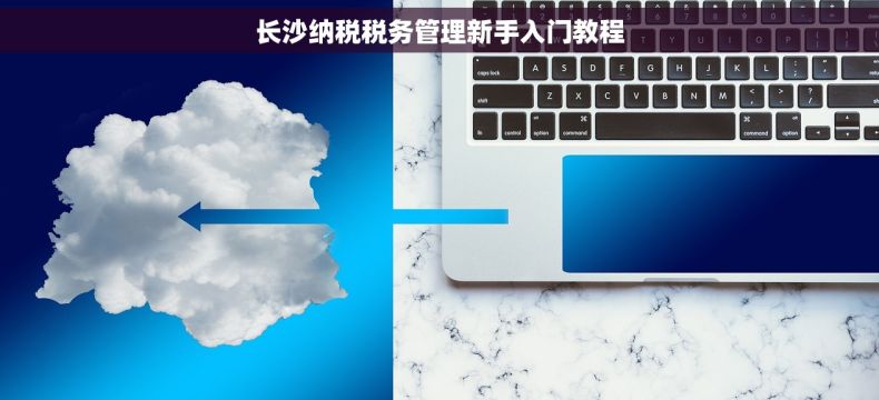 长沙纳税税务管理新手入门教程