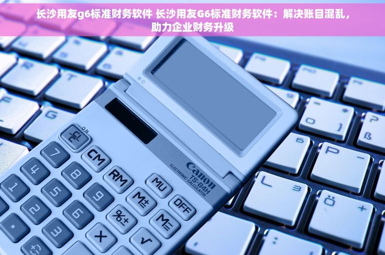 长沙用友g6标准财务软件 长沙用友G6标准财务软件：解决账目混乱，助力企业财务升级