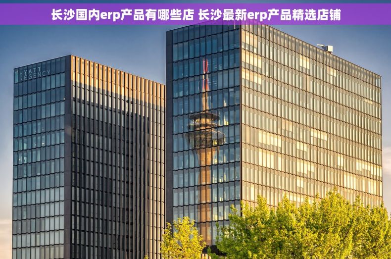 长沙国内erp产品有哪些店 长沙最新erp产品精选店铺