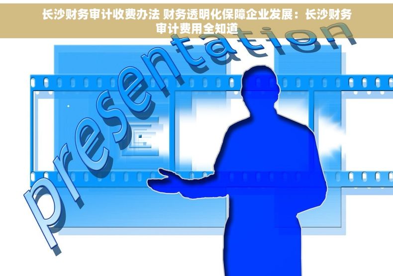 长沙财务审计收费办法 财务透明化保障企业发展：长沙财务审计费用全知道