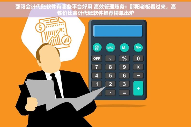 邵阳会计代账软件有哪些平台好用 高效管理账务：邵阳老板看过来，高性价比会计代账软件推荐榜单出炉