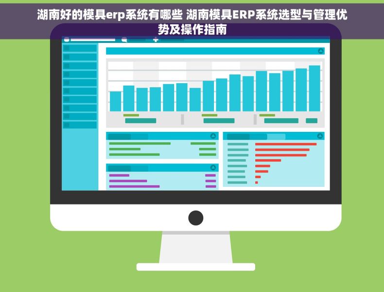 湖南好的模具erp系统有哪些 湖南模具ERP系统选型与管理优势及操作指南