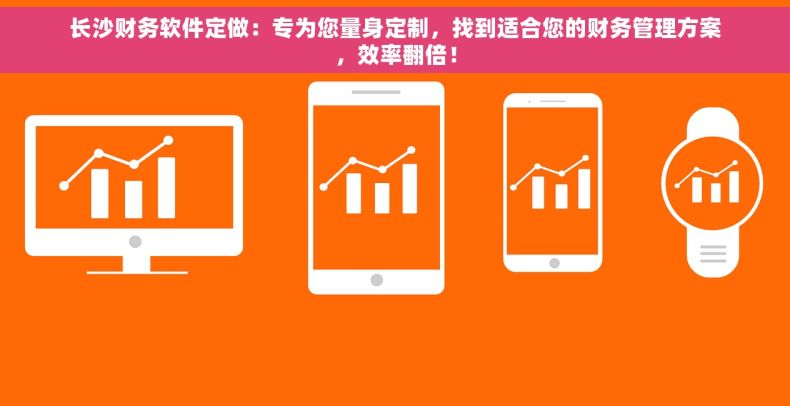 长沙财务软件定做：专为您量身定制，找到适合您的财务管理方案，效率翻倍！