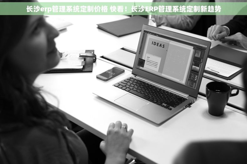 长沙erp管理系统定制价格 快看！长沙ERP管理系统定制新趋势