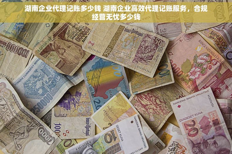 湖南企业代理记账多少钱 湖南企业高效代理记账服务，合规经营无忧多少钱