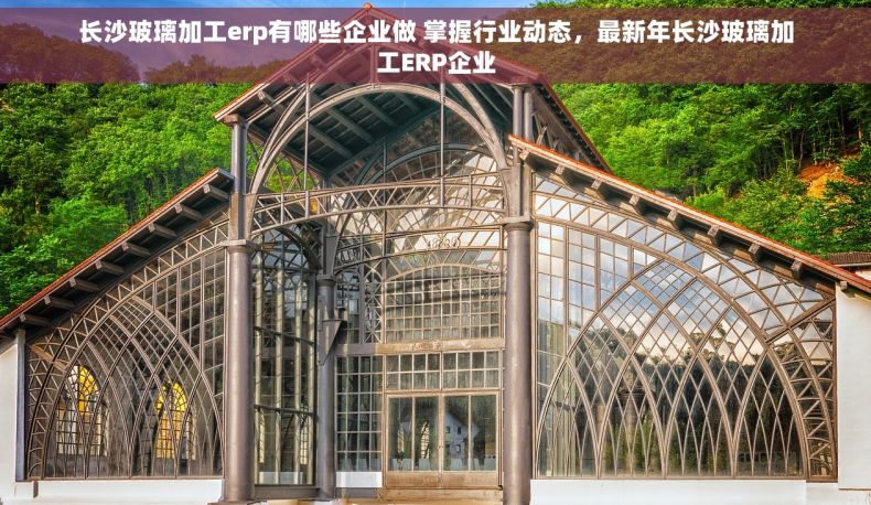 长沙玻璃加工erp有哪些企业做 掌握行业动态，最新年长沙玻璃加工ERP企业