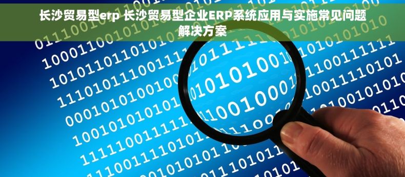 长沙贸易型erp 长沙贸易型企业ERP系统应用与实施常见问题解决方案