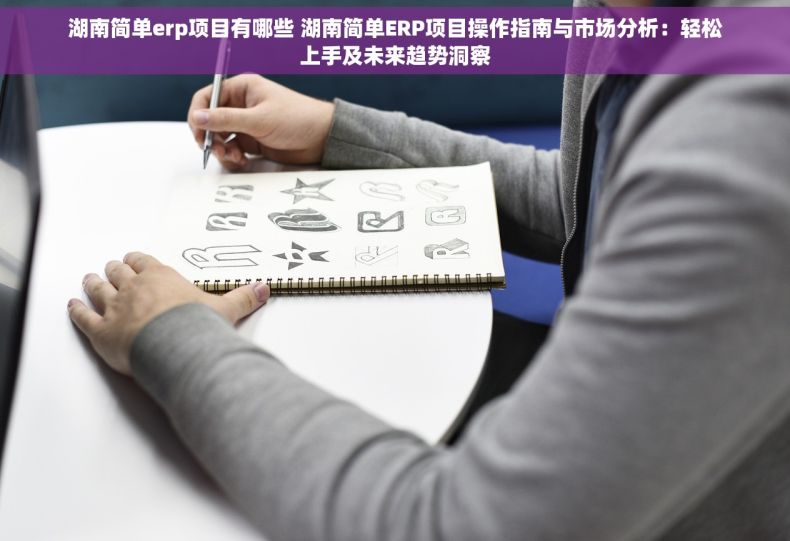 湖南简单erp项目有哪些 湖南简单ERP项目操作指南与市场分析：轻松上手及未来趋势洞察