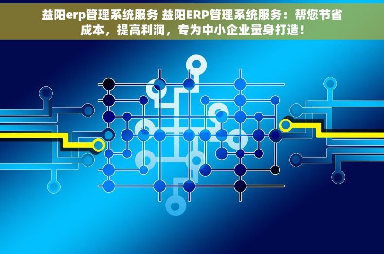 益阳erp管理系统服务 益阳ERP管理系统服务：帮您节省成本，提高利润，专为中小企业量身打造！