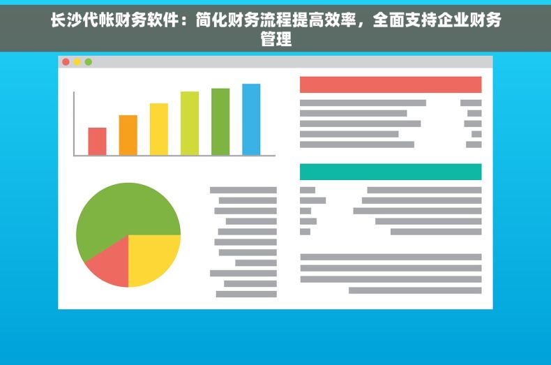 长沙代帐财务软件：简化财务流程提高效率，全面支持企业财务管理