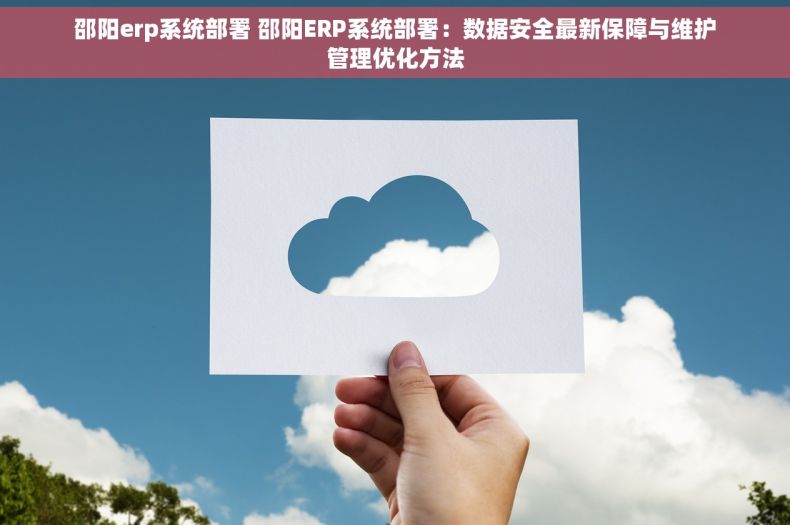 邵阳erp系统部署 邵阳ERP系统部署：数据安全最新保障与维护管理优化方法