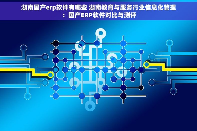 湖南国产erp软件有哪些 湖南教育与服务行业信息化管理：国产ERP软件对比与测评