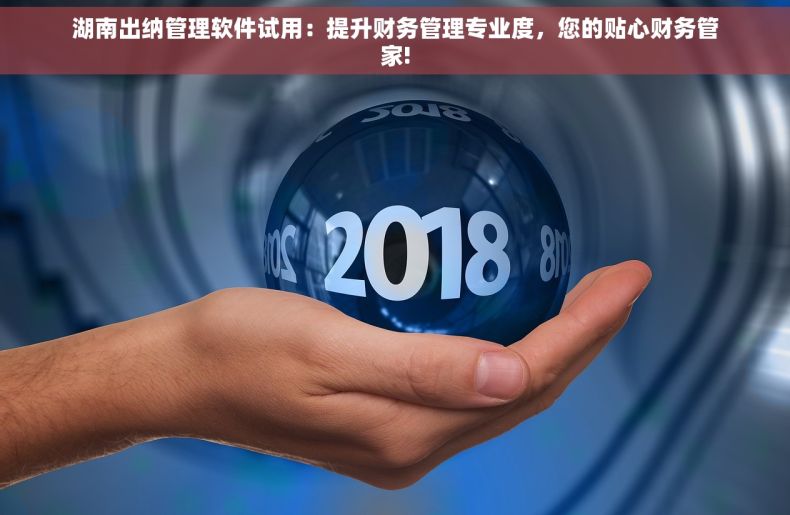 湖南出纳管理软件试用：提升财务管理专业度，您的贴心财务管家!
