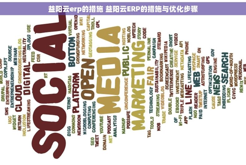 益阳云erp的措施 益阳云ERP的措施与优化步骤