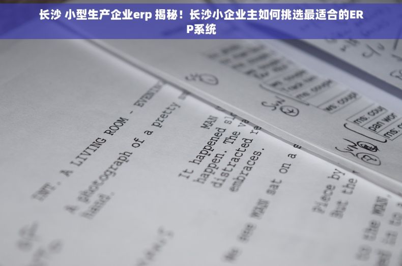 长沙 小型生产企业erp 揭秘！长沙小企业主如何挑选最适合的ERP系统