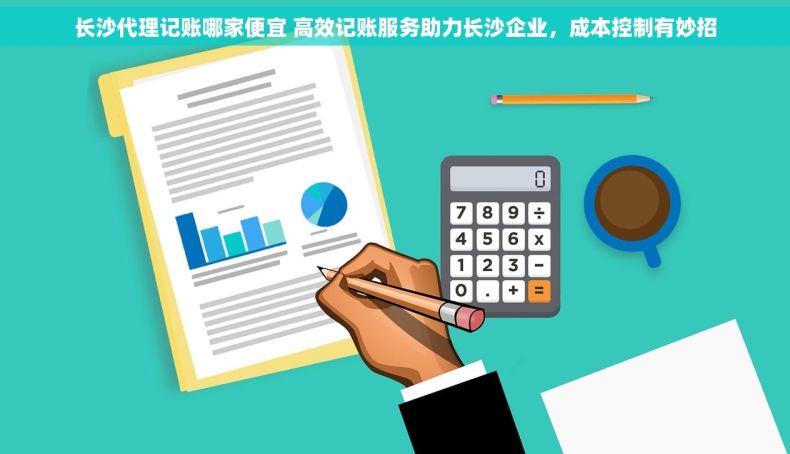 长沙代理记账哪家便宜 高效记账服务助力长沙企业，成本控制有妙招