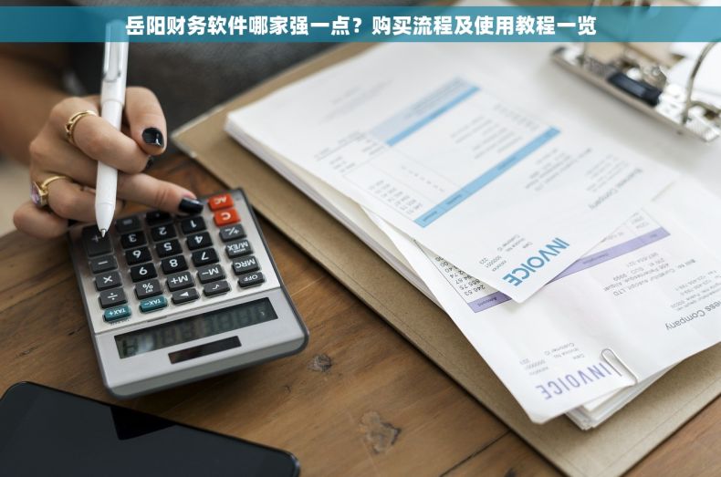 岳阳财务软件哪家强一点？购买流程及使用教程一览