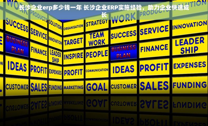 长沙企业erp多少钱一年 长沙企业ERP实施经验，助力企业快速成长