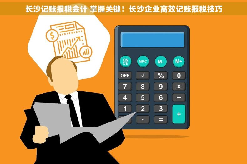 长沙记账报税会计 掌握关键！长沙企业高效记账报税技巧