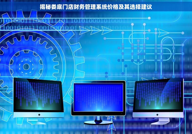 揭秘娄底门店财务管理系统价格及其选择建议