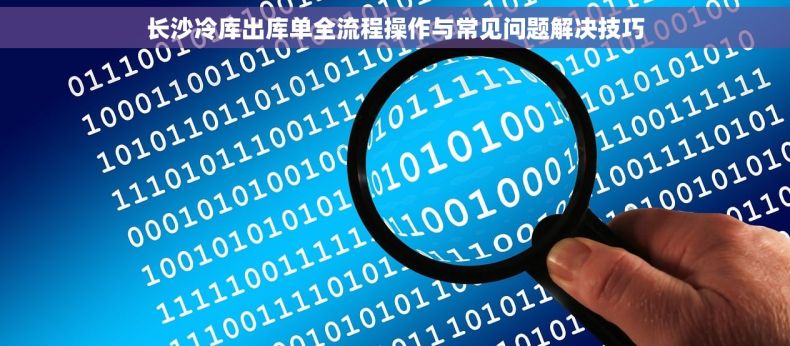 长沙冷库出库单全流程操作与常见问题解决技巧