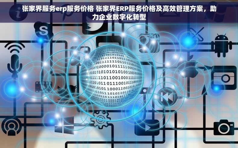 张家界服务erp服务价格 张家界ERP服务价格及高效管理方案，助力企业数字化转型