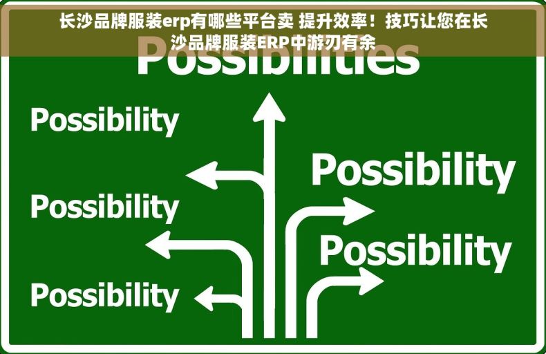 长沙品牌服装erp有哪些平台卖 提升效率！技巧让您在长沙品牌服装ERP中游刃有余