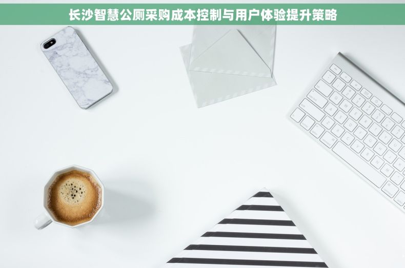 长沙智慧公厕采购成本控制与用户体验提升策略