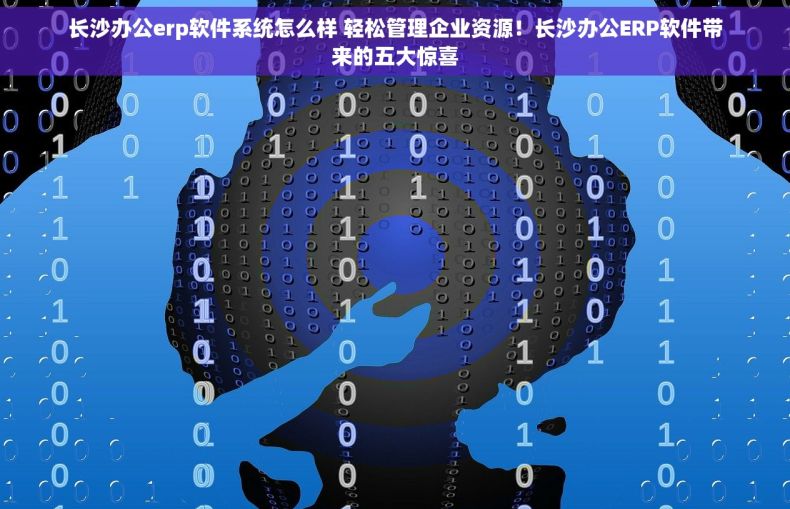 长沙办公erp软件系统怎么样 轻松管理企业资源！长沙办公ERP软件带来的五大惊喜