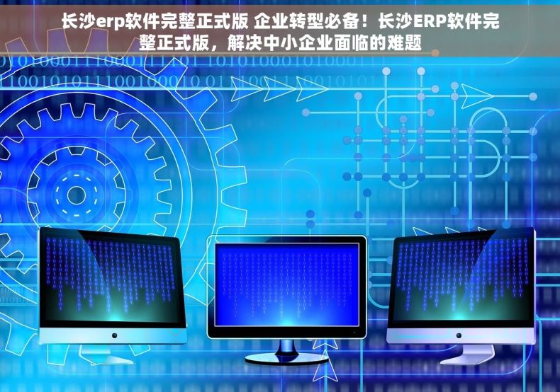 长沙erp软件完整正式版 企业转型必备！长沙ERP软件完整正式版，解决中小企业面临的难题