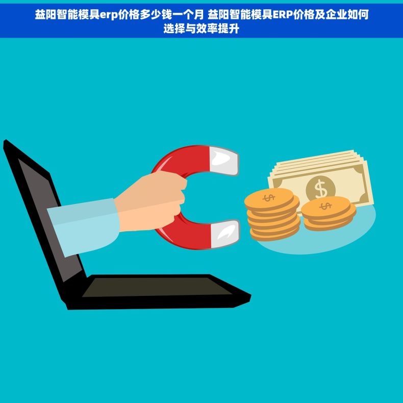 益阳智能模具erp价格多少钱一个月 益阳智能模具ERP价格及企业如何选择与效率提升