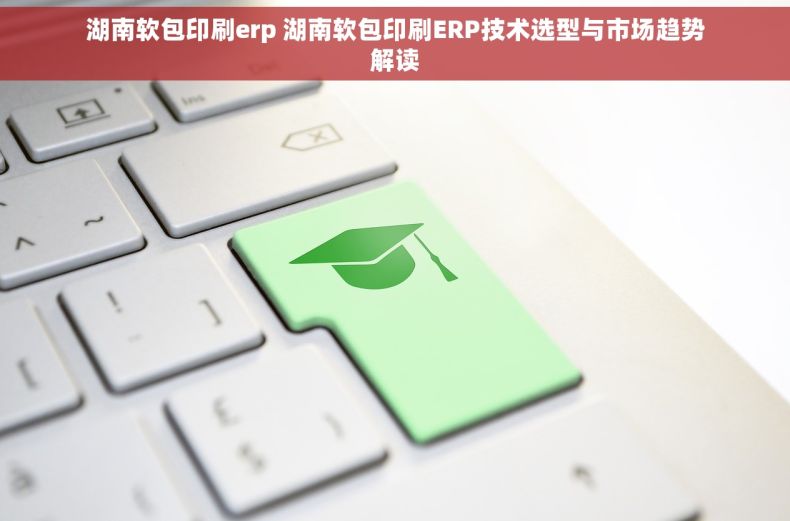 湖南软包印刷erp 湖南软包印刷ERP技术选型与市场趋势解读