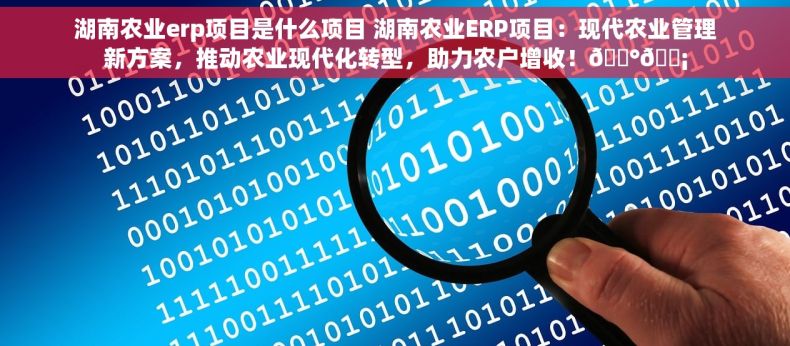 湖南农业erp项目是什么项目 湖南农业ERP项目：现代农业管理新方案，推动农业现代化转型，助力农户增收！💰💡