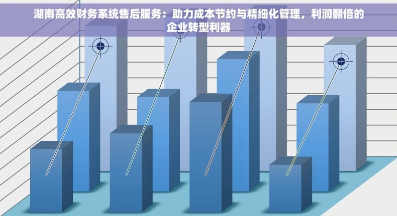 湖南高效财务系统售后服务：助力成本节约与精细化管理，利润翻倍的企业转型利器
