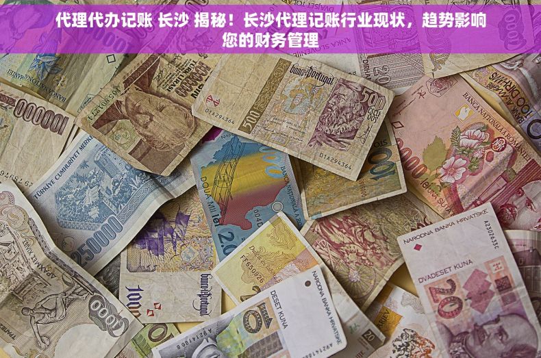 代理代办记账 长沙 揭秘！长沙代理记账行业现状，趋势影响您的财务管理
