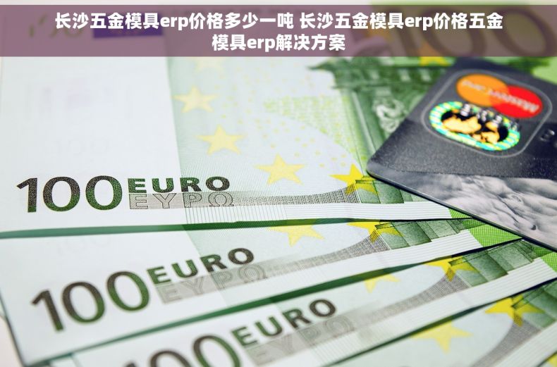 长沙五金模具erp价格多少一吨 长沙五金模具erp价格五金模具erp解决方案