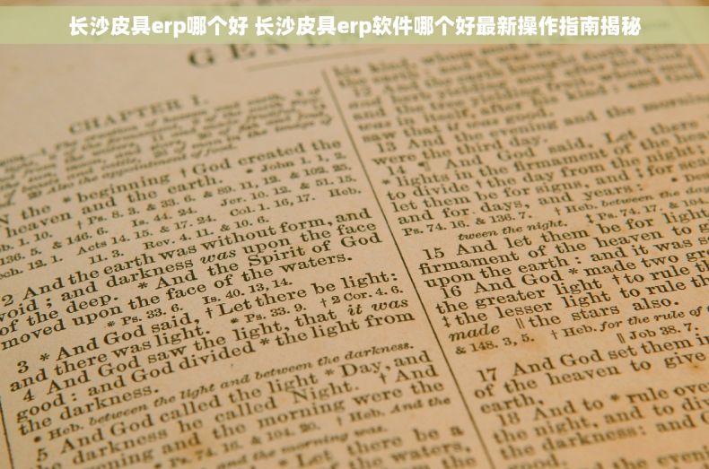 长沙皮具erp哪个好 长沙皮具erp软件哪个好最新操作指南揭秘