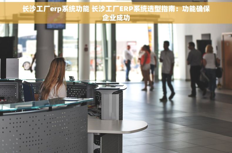 长沙工厂erp系统功能 长沙工厂ERP系统选型指南：功能确保企业成功