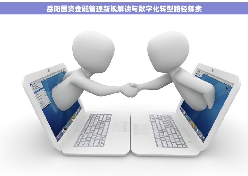 岳阳国资金融管理新规解读与数字化转型路径探索