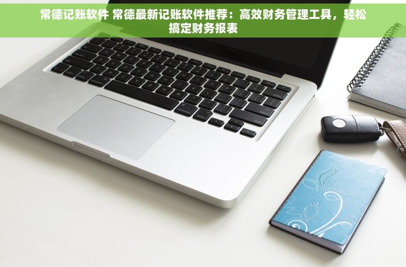 常德记账软件 常德最新记账软件推荐：高效财务管理工具，轻松搞定财务报表